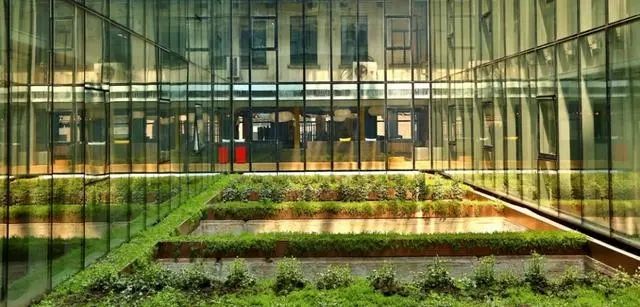 3.webp.jpg 3.webp.jpg