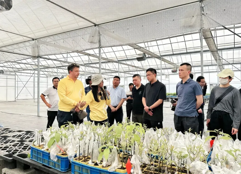 图片48.png 图片48.png